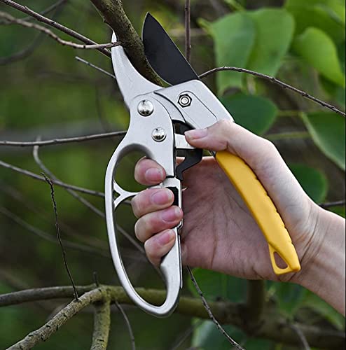 Premium Bypass Pruning Shears,Garden clippers, Gardening scissors,ratchet pruners shears, for orchard,tree, floral, live plants, arthritis weak hand gardening tools (Modern) - Image 3