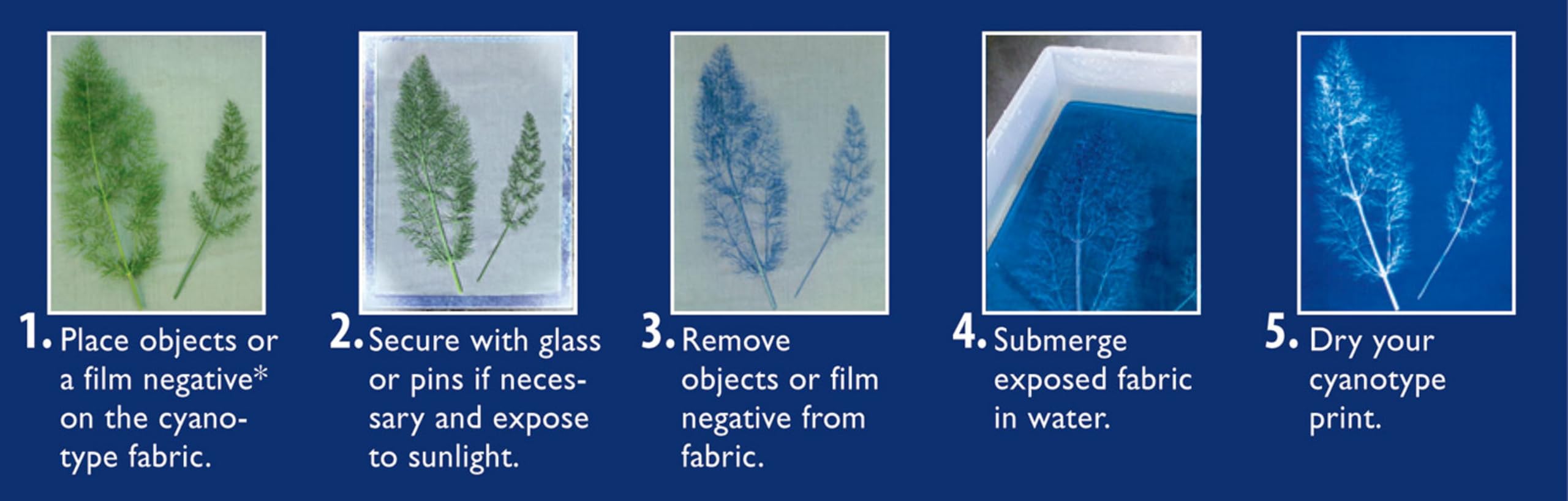 Jacquard Cyanotype Sensitizer Set - Image 4